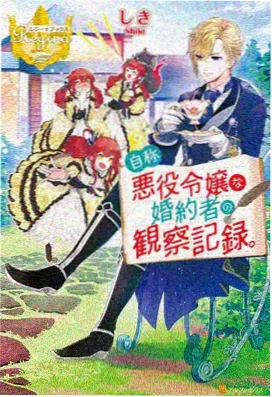 妖精之舞篇 空中飞行画面